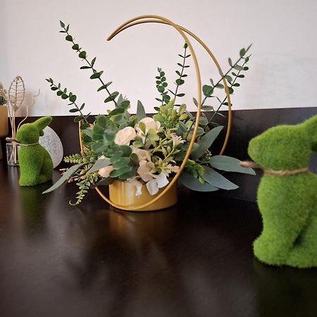 Apartament Aleea Minerva 布拉索夫 外观 照片
