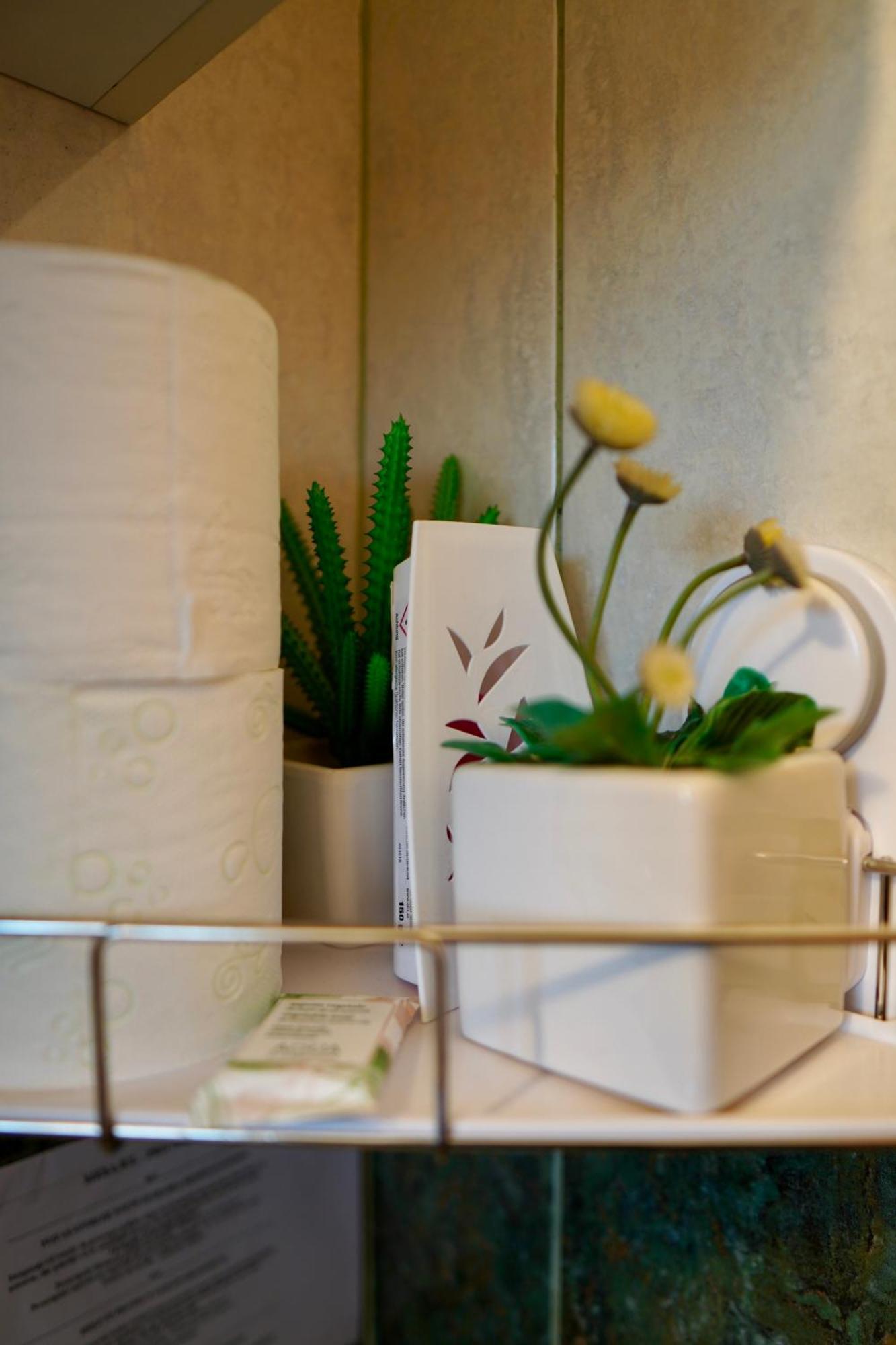 Apartament Aleea Minerva 布拉索夫 外观 照片